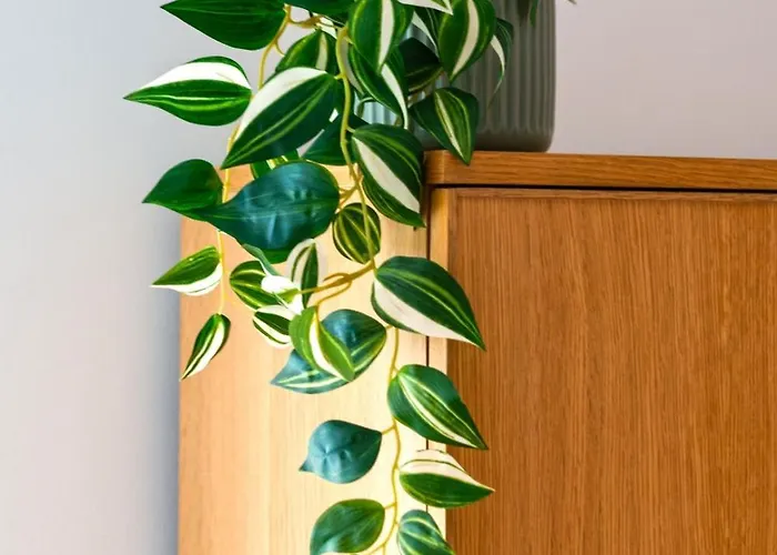 Gorgeous Rooftop 2-bed 250m To Intendente Sq شقة