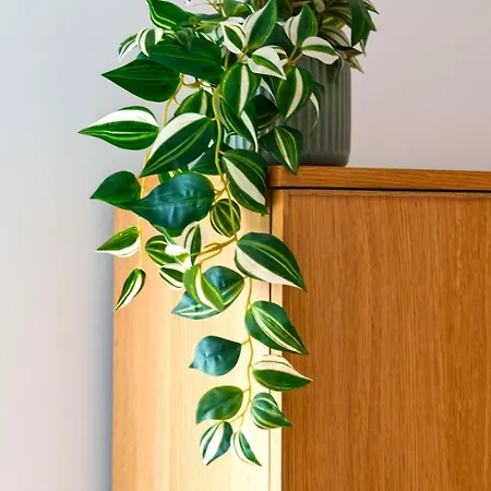 Gorgeous Rooftop 2-bed 250m To Intendente Sq Appartamento